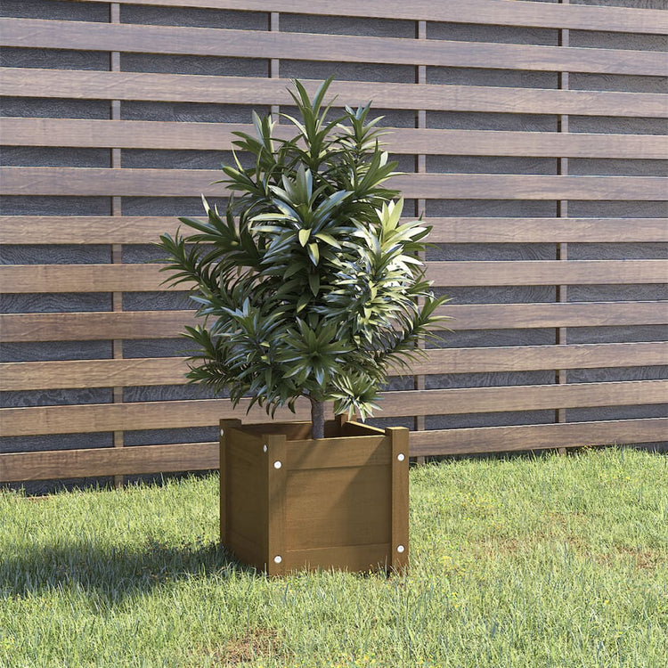 VIDAXL -Planungsbox 31x31x31 cm Festkiefer Honigbraun