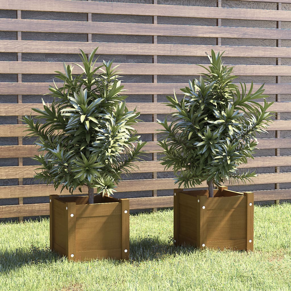 VIDAXL -Pflanzer 2 PCs 31x31x31 cm Festkiefer Honigbraun