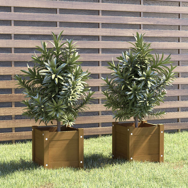 VIDAXL -Pflanzer 2 PCs 31x31x31 cm Festkiefer Honigbraun