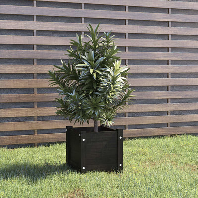 VIDAXL -Planungsbox 31x31x31 cm Festkiefer schwarz
