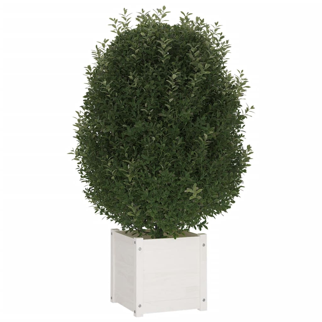 VIDAXL -Planungsbox 40x40x40 cm Festkiefer weiß
