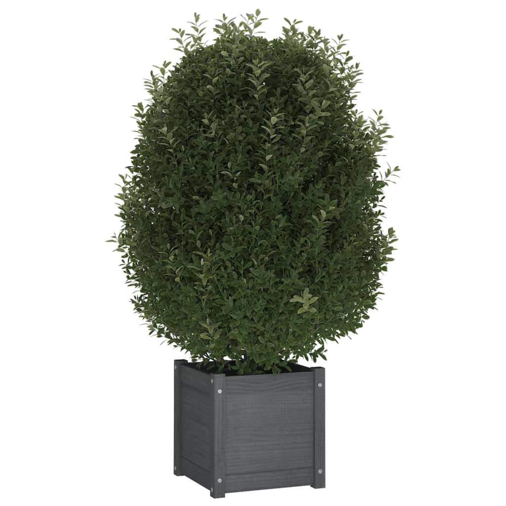 VIDAXL -Pflanzer 2 ST 40x40x40 cm Festkiefergrau
