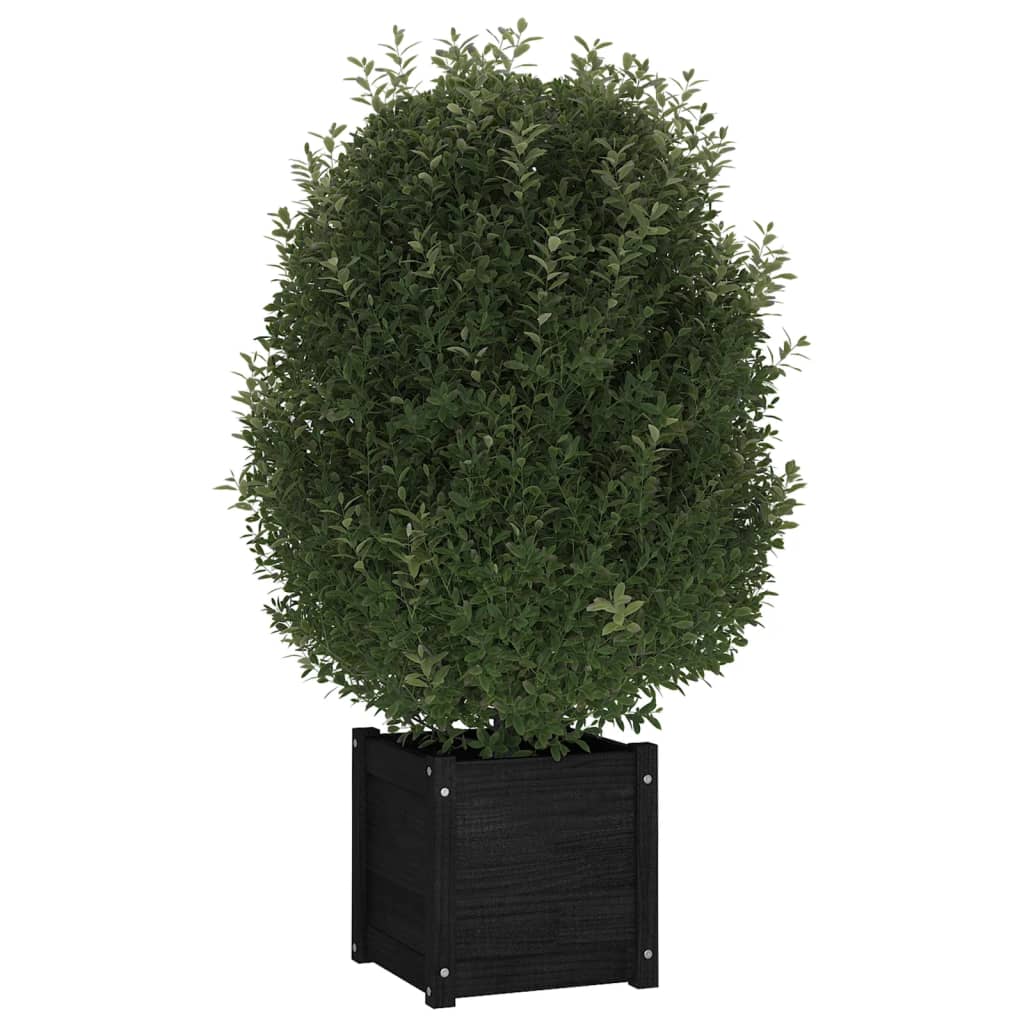 VIDAXL -Planungsbox 40x40x40 cm Festkiefer schwarz