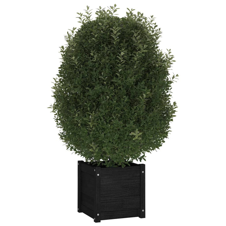 VIDAXL -Planungsbox 40x40x40 cm Festkiefer schwarz