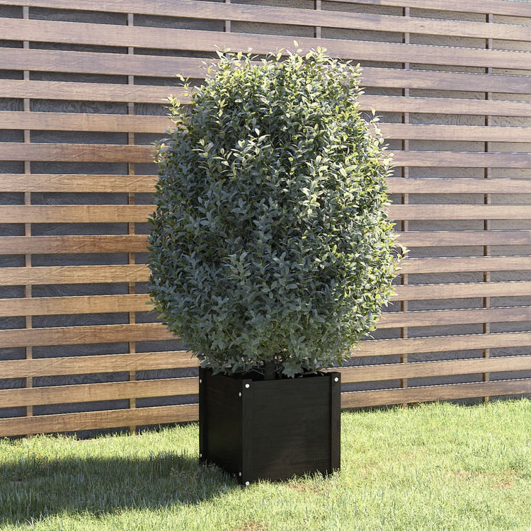VIDAXL -Planungsbox 40x40x40 cm Festkiefer schwarz