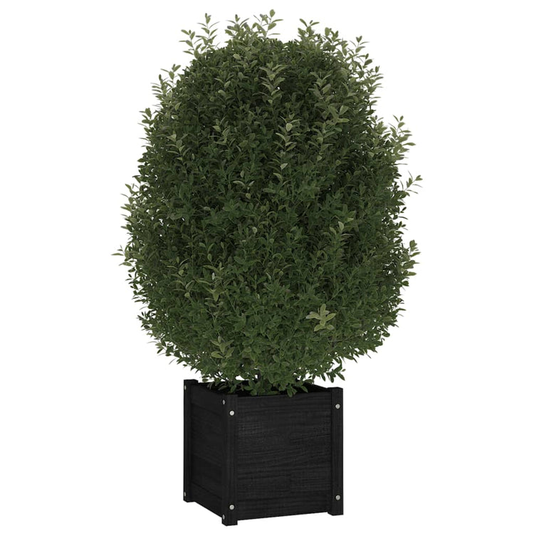VIDAXL -Pflanzer 2 ST 40x40x40 cm Festkiefer schwarz