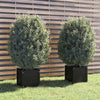 VIDAXL -Pflanzer 2 ST 40x40x40 cm Festkiefer schwarz