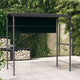 Vidaxl -Laube mit Dach 220x110x200 cm Anthrazit -ausgelöst
