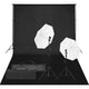 Vidaxl Photo Studio Set mit Beleuchtungsset und Hintergrund
