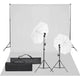 Vidaxl Photo Studio Set mit Beleuchtungsset und Hintergrund