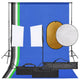Vidaxl Photo Studio -Set mit Beleuchtungssatz, Hintergrund und Reflektor