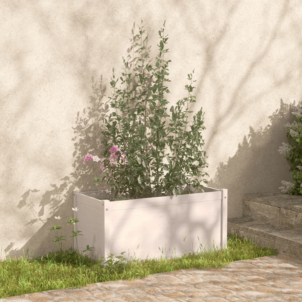 Vidaxl -Pflanzer 2 ST 100x50x50 cm Festkiefer weiß