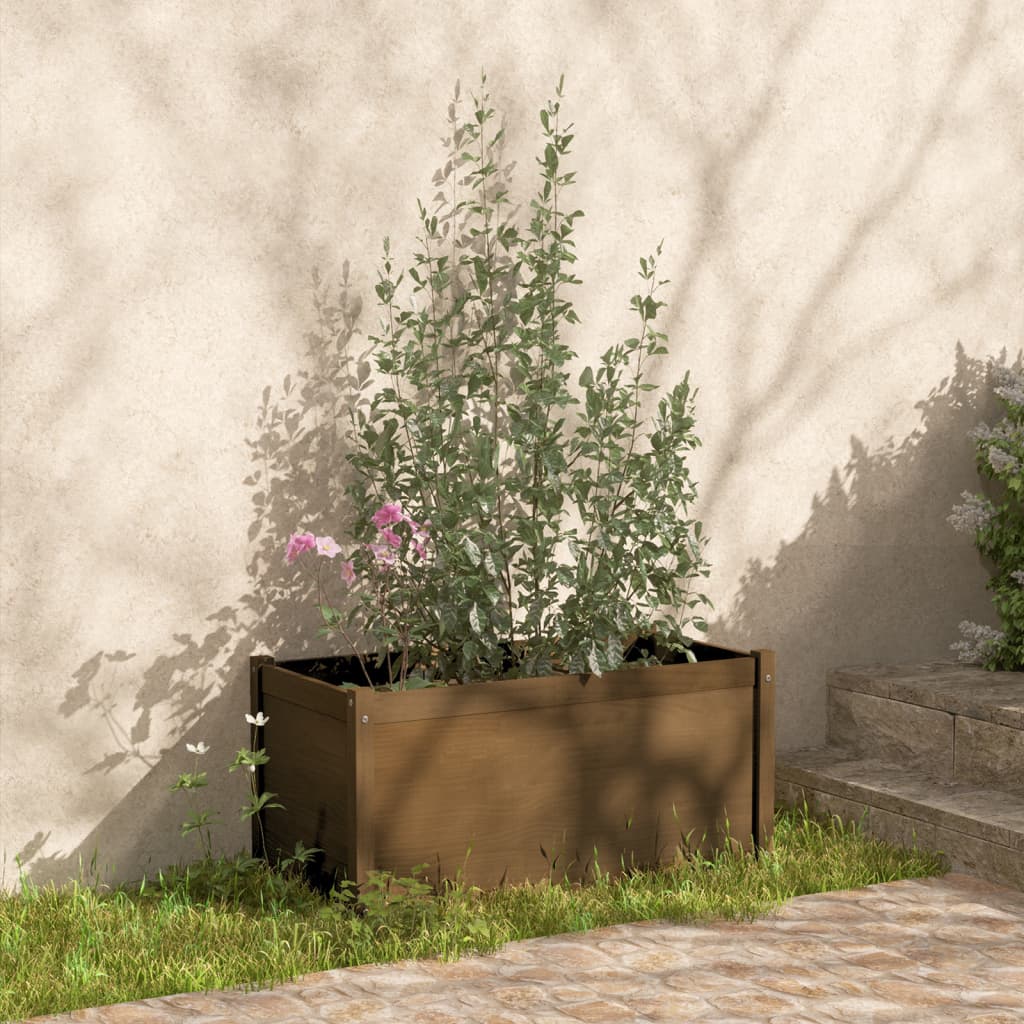 Vidaxl -Pflanzer 2 ST 100x50x50 cm Festkiefer Honigbraun