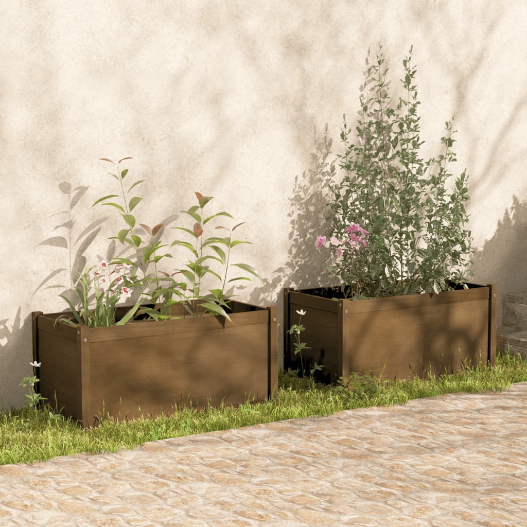 Vidaxl -Pflanzer 2 ST 100x50x50 cm Festkiefer Honigbraun