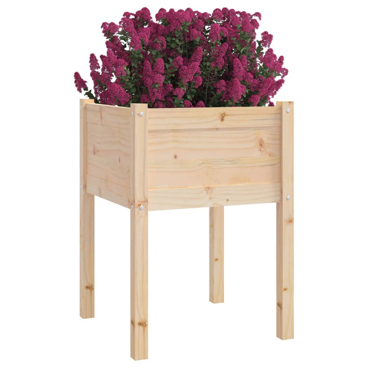 VIDAXL -Pflanzer 2 ST 50x50x70 cm Festkiefer