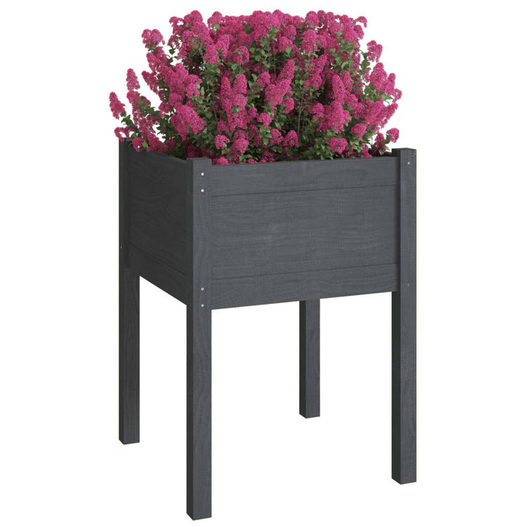 VIDAXL -Pflanzer 2 ST 50x50x70 cm Festkiefergrau