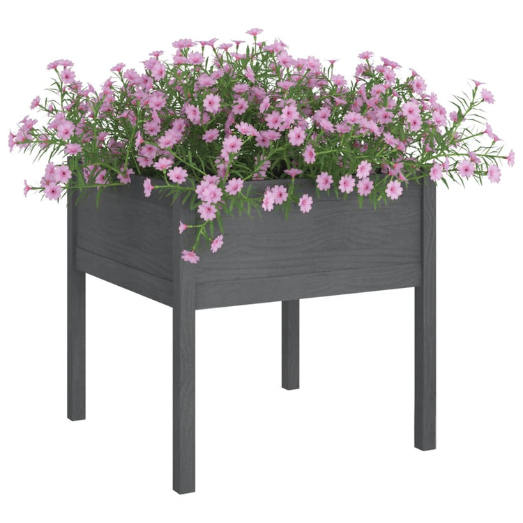VIDAXL -Planungsbox 70x70x70 cm Festkiefergrau