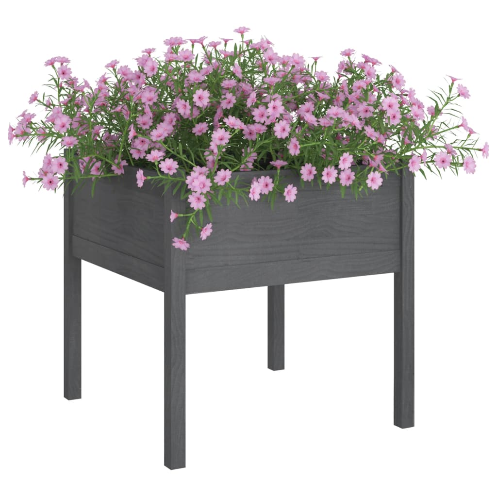 VIDAXL -Pflanzer 2 ST 70x70x70 cm Festkiefergrau