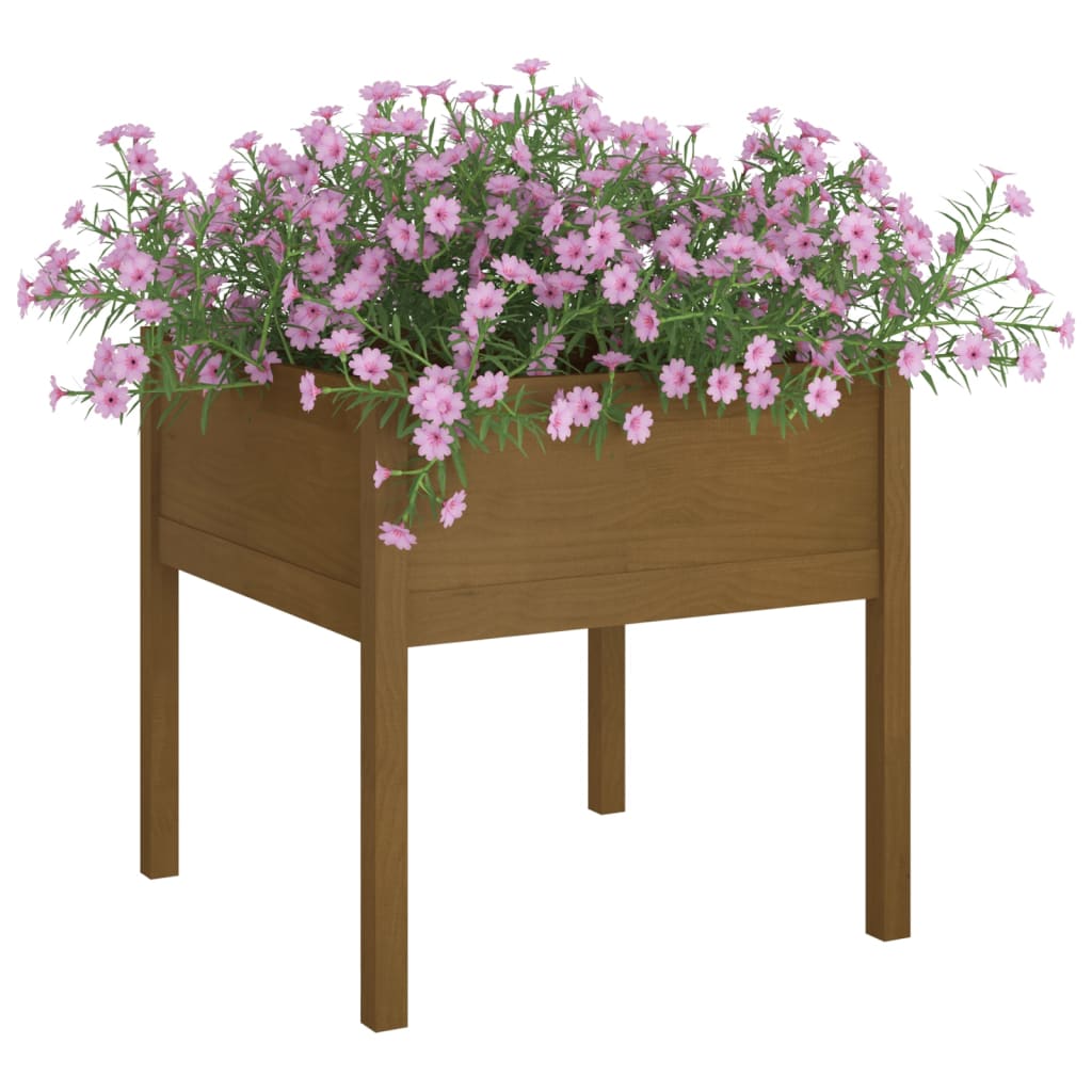 Vidaxl Pflanzer 2 ST 70x70x70 cm Festkiefer Honigbraun
