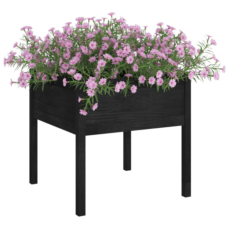 VIDAXL -Pflanzer 2 ST 70x70x70 cm Festkiefer schwarz