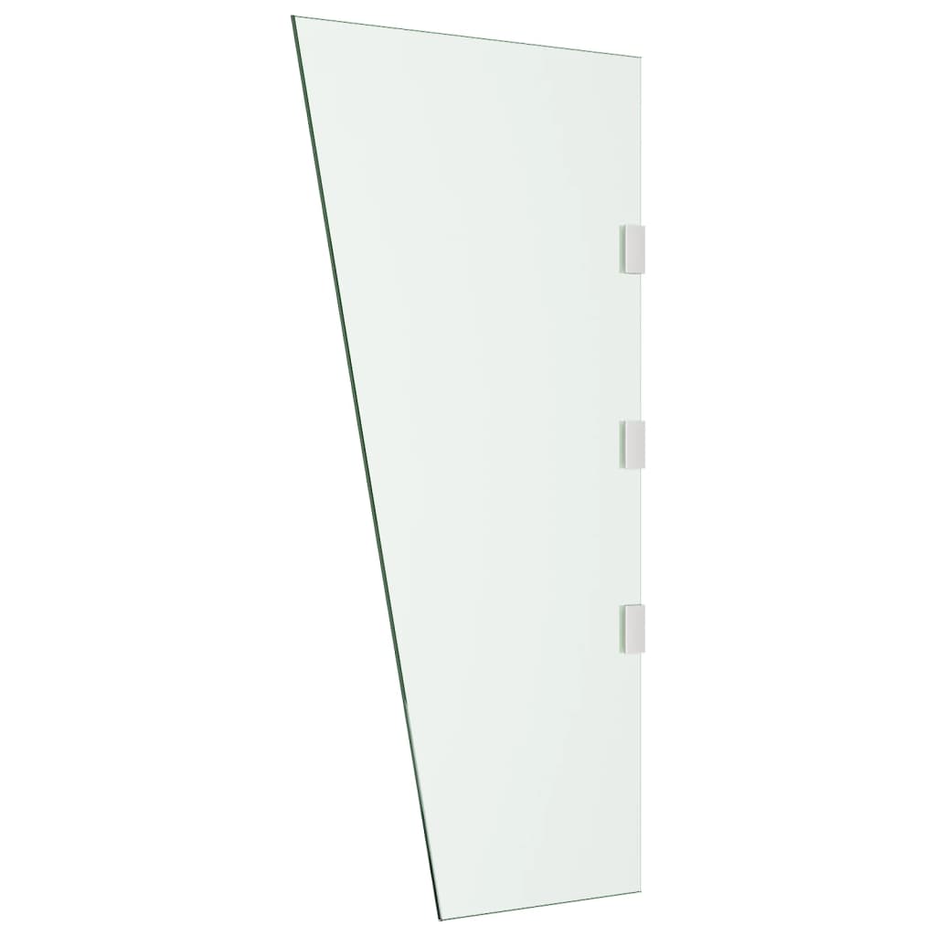 VIDAXL -Seitenplatte für Tür -Baldachin 50x100 cm gehärtetes Glas transparent