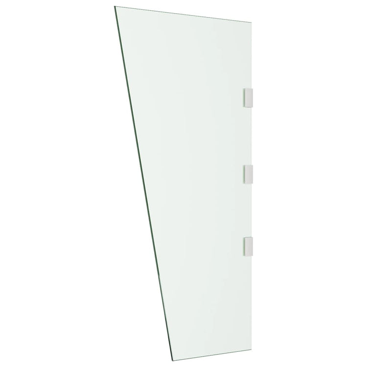 VIDAXL -Seitenplatte für Tür -Baldachin 50x100 cm gehärtetes Glas transparent