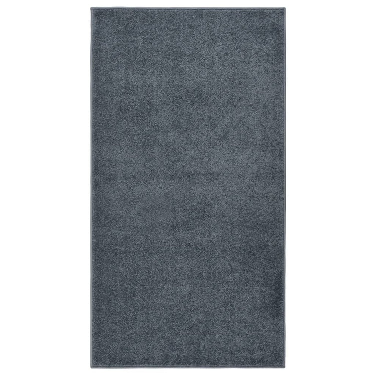 VIDAXL RUV KORTPOLIG 80x150 cm Anthrazit -ausgelöst
