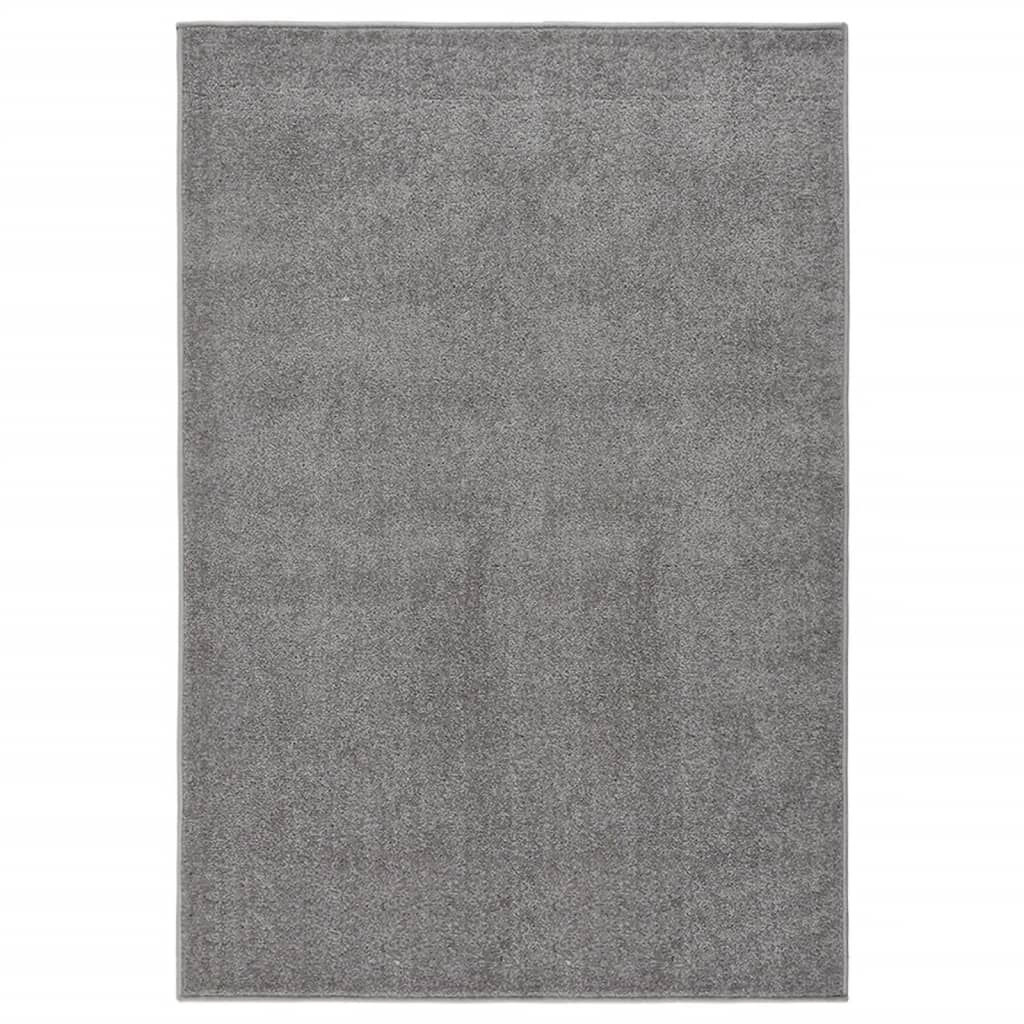 Vidaxl Teppich Kortpolig 200x290 cm Grau