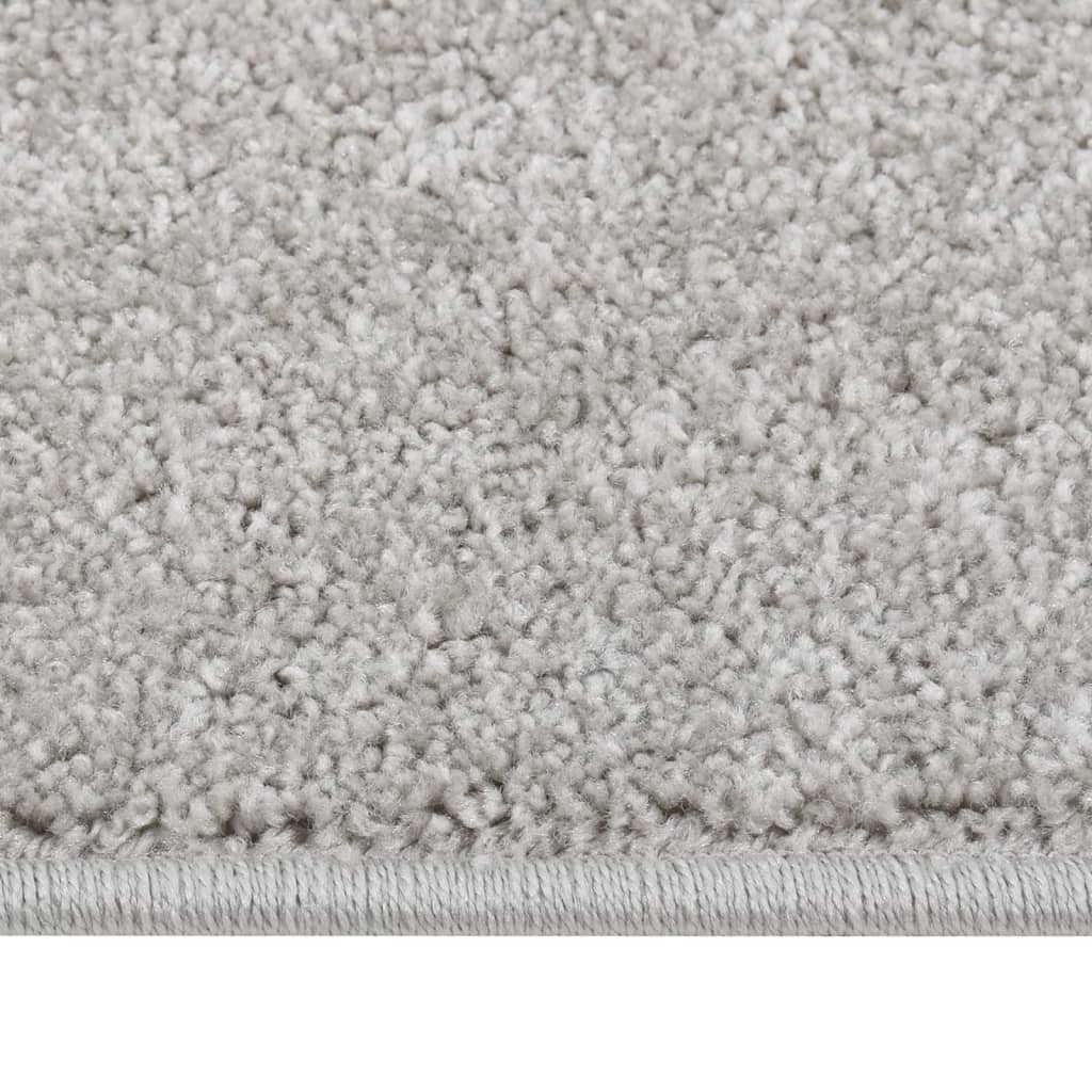 Vidaxl Teppich Kortpolig 80x150 cm hellgrau