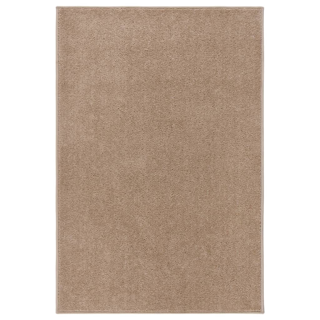 Vidaxl Teppich Kortpolig 200x290 cm Brown
