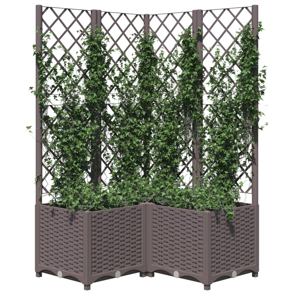 VIDAXL -Planungsbox mit SLAT 80x80x136 cm Polypropenbraun
