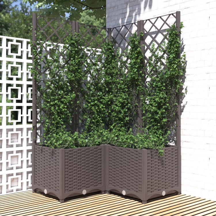 VIDAXL -Planungsbox mit SLAT 80x80x136 cm Polypropenbraun