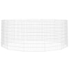 VIDAXL -Tierset 12 Panels 54x80 cm verzinktes Eisen
