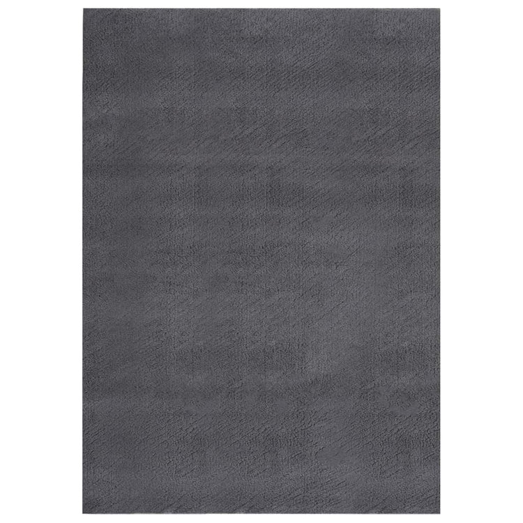 Vidaxl Teppich waschbarer Kurzpol Anti-Rutsch 160x230 cm Anthrazit