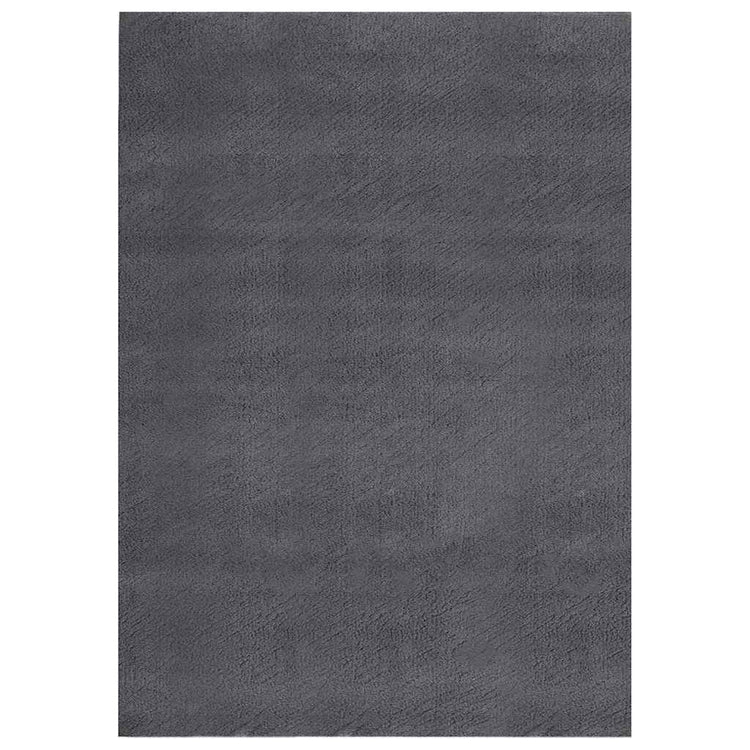 Vidaxl Teppich waschbarer Kurzpol Anti-Rutsch 160x230 cm Anthrazit