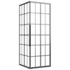 Vidaxl Duschkabine 70x70x180 cm mattes ESG Schwarz