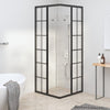 Vidaxl Duschkabine 80x80x180 cm mattes ESG Schwarz