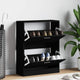 Vidaxl Schuhschrank 63x24x81 cm propertiertes Holzschwarz