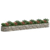 Vidaxl Gabion -Pflanzer erhöhte 600x100x50 cm verzinktes Eisen