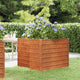 Vidaxl -Pflanzer erhoben 100x100x77 cm Corten Stahl Rusty