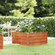 VIDAXL -Pflanzer erhoben 100x100x45 cm Corten Stahl Rusty
