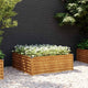 Vidaxl -Pflanzer erhoben 100x100x36 cm Cortenstaal