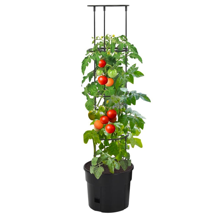 VIDAXL -Tomaten -Zuchtglas Ø29.5x115 cm Polypropen Anthrazit -gelöscht