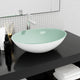 Vidaxl Washbeer 50x37x14 cm Glasweiß