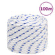 VIDAXL -Kofferchen Seil 18 mm 100 m Polypropylenweiß