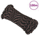 VIDAXL -Kofferchen 3 mm 100 m Polypropylenschwarz