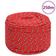 Vidaxl -Bootseil 6 mm 250 m Polypropylenrot