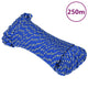 Vidaxl -Bootseil 3 mm 250 m Polypropylenblau