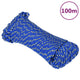 Vidaxl -Bootseil 4 mm 100 m Polypropylenblau