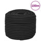 Vidaxl -Bootseil 12 mm 100 m Polypropen Schwarz
